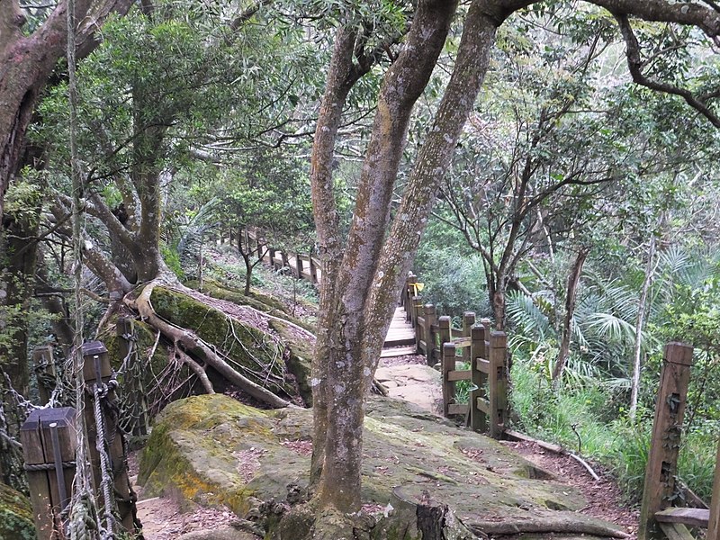 Archivo:大坑登山步道 Ruta de senderismo Dakeng - panoramio (2).jpg