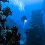 10 accidentes de buceo en aguas profundas que te harán estremecer