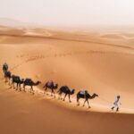 Diez datos realmente locos sobre el desierto del Sahara