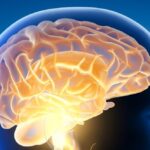 Los 10 mitos principales sobre el cerebro humano