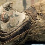 Las momias de animales más increíbles de Egipto