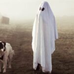 10 perros cazadores de fantasmas valientes y clarividentes